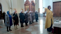 Встреча сестер милосердия: рабочие вопросы и молебен о преумножении любви