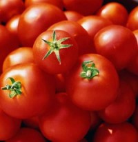 Постовая кухня. Фаршированные помидоры