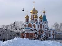 Амурская епархия встречает своего архипастыря