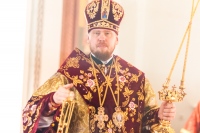Митрополит Владимир: «Новомученики и исповедники не только подают нам пример следования за Христом, но и молитвенно предстательствуют за нас»