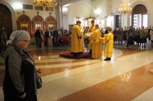 IMG_7425.jpg