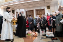 IMG_8558.jpg