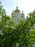 Питомник и его цветы