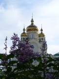 Питомник и его цветы