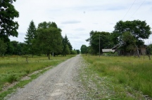 DSC04687.JPG
