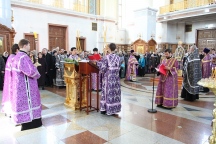 IMG_9085.JPG