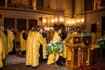 07444.jpg
