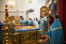 201.jpg