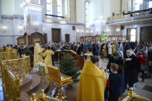 DSC_6408.JPG