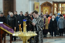 IVO_7194.JPG