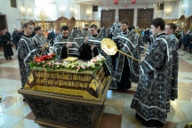 IVO_7309.JPG