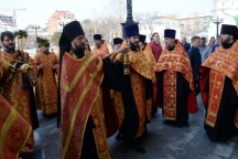 IVO_8687.JPG