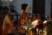 IVO_3224.JPG